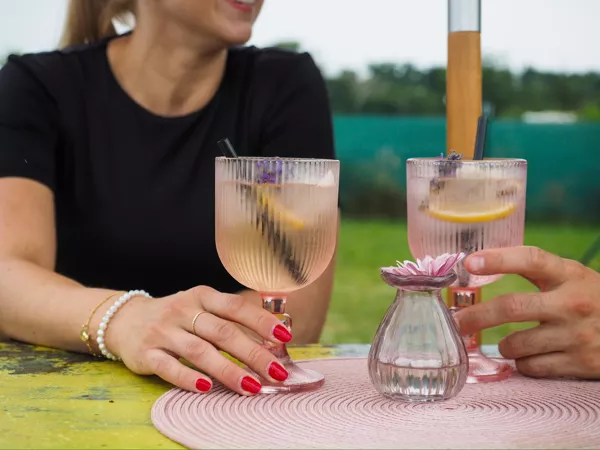 Hosté si přiťukávají domácí limonádou