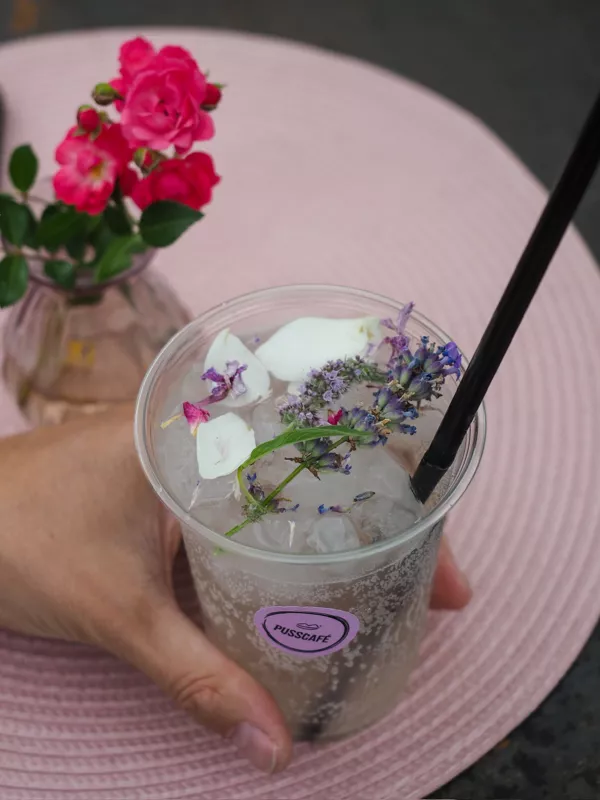 Domácí limonáda s květy levandule